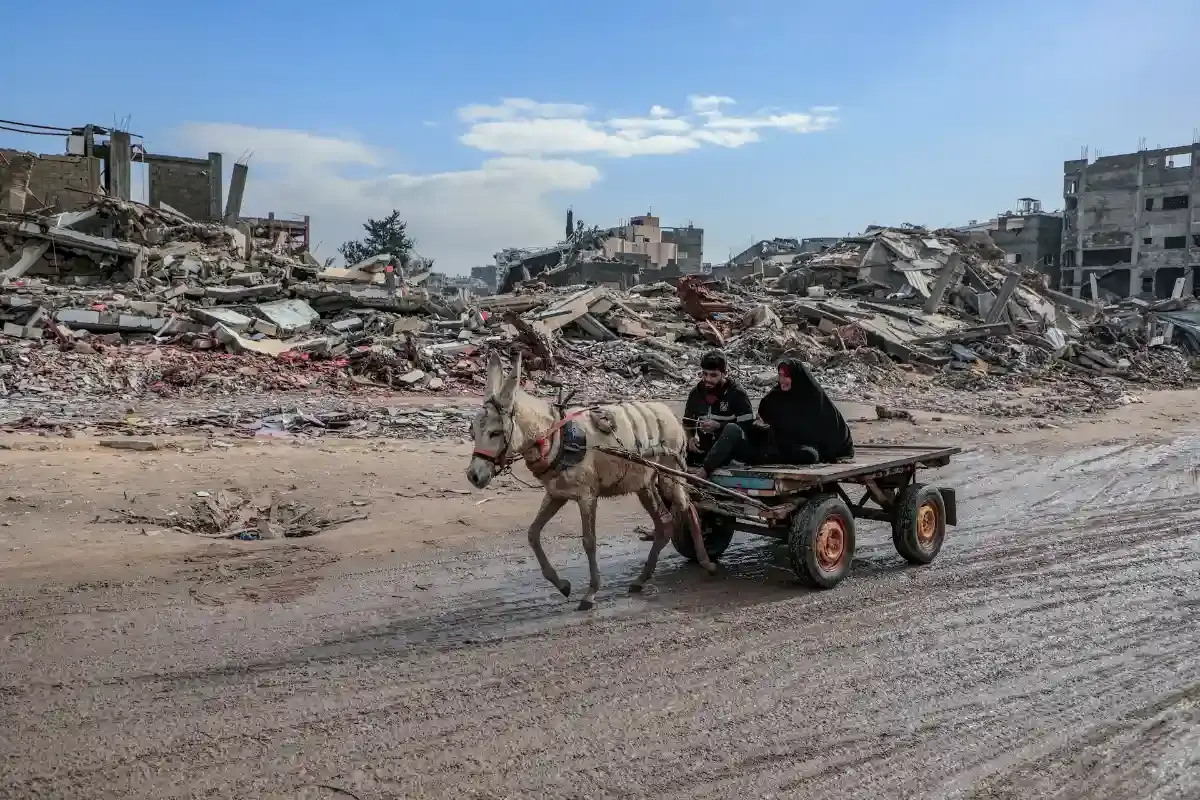 Asino traina un carro a Gaza. Foto di Mohammed Ibrahim su Unsplash